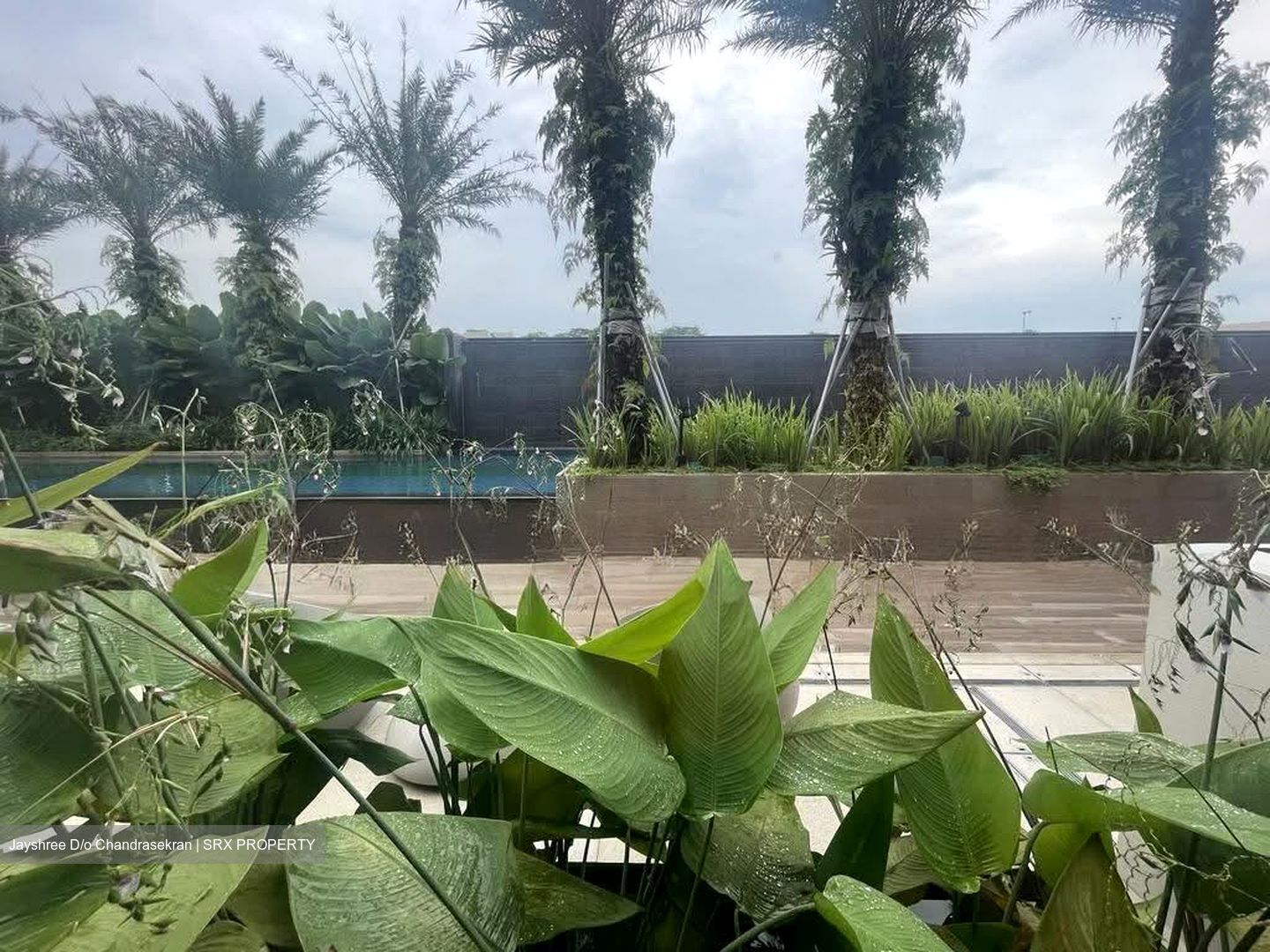 Parksuites (D10), Apartment #631571811